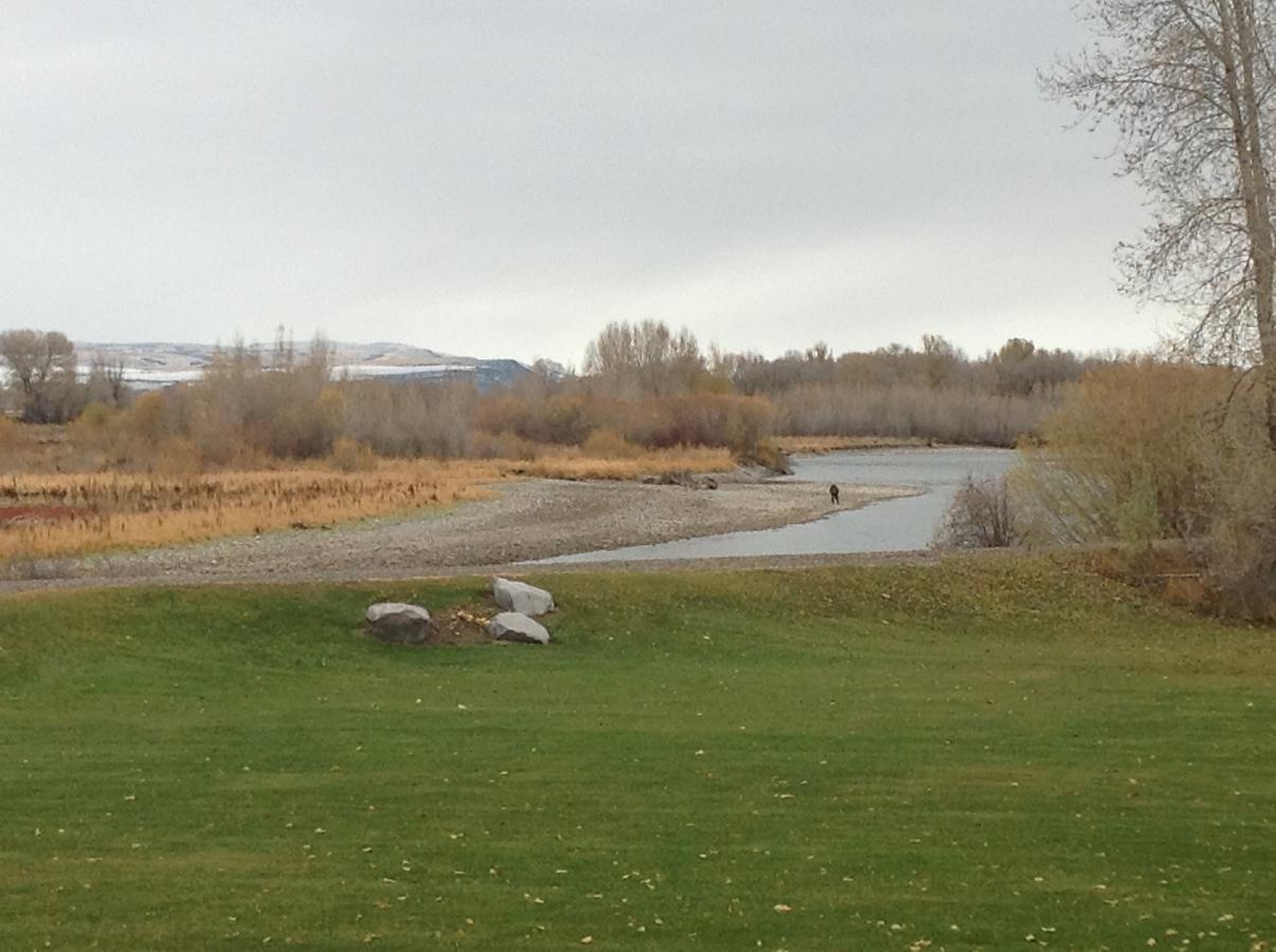 Blue Heron Inn Bed And Breakfast Rexburg Rum bild